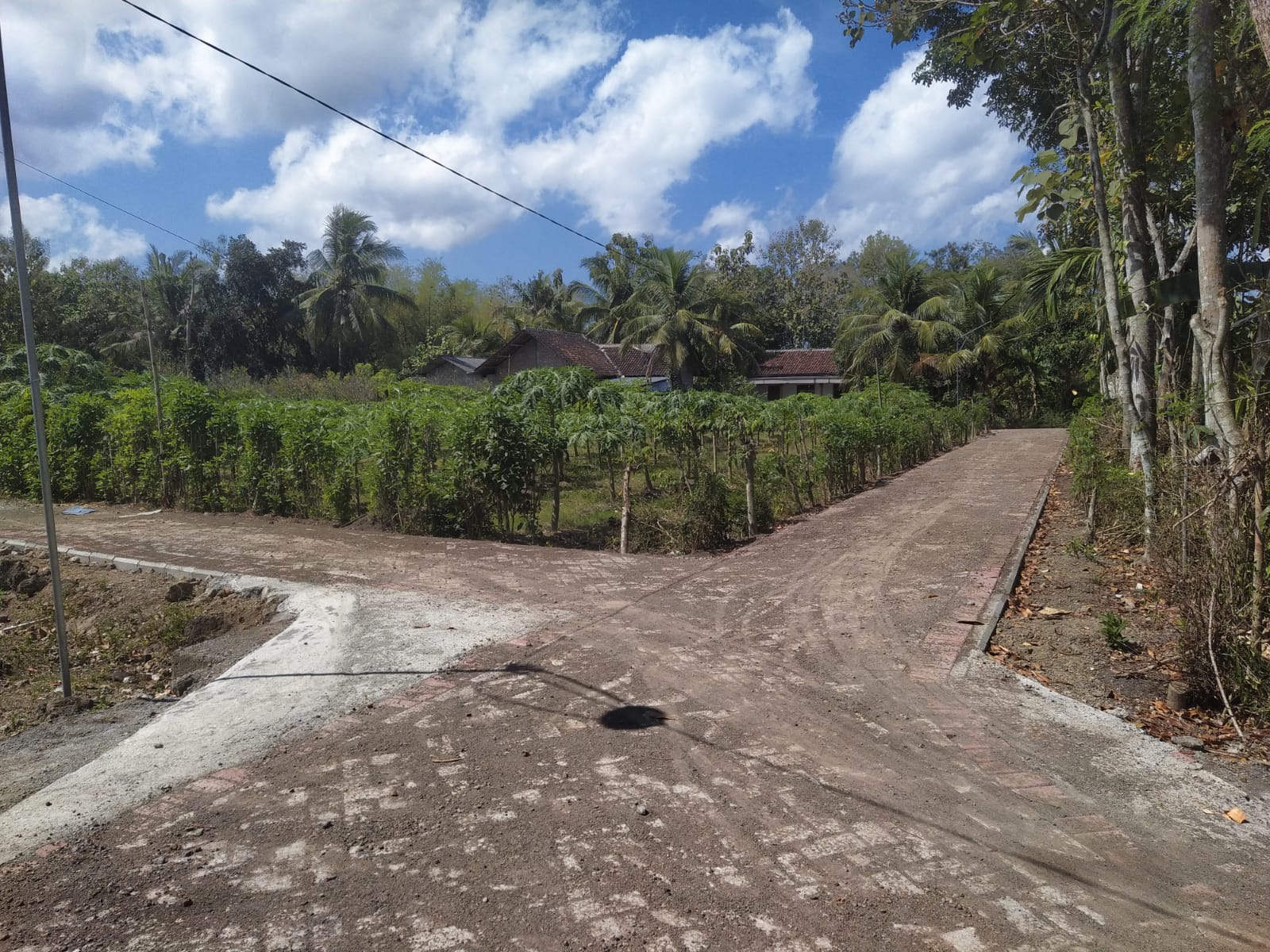 Pavingisasi Barat Moyang Dusun Sambirejo Desa Sambimulyo Rampung 100% 