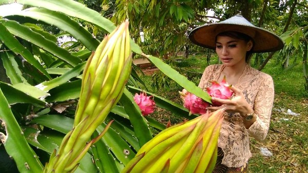 5-Program-Unggulan-Desa-Sambimulyo-Tahun-2023---Bangkitkan-Potensi-Wisata