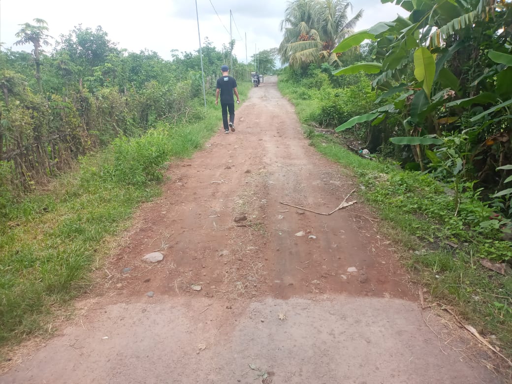 PU-Banyuwangi-Survei-Di-Sambimulyo,-Pavingisasi-Panjang-300m-Jalan-Ajong-Kebarat
