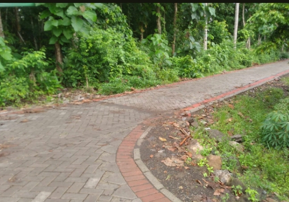 Hotmix,-Drainase,-Pavingisasi-Tahun-2022-Di-Sambimulyo-Selesai-100%